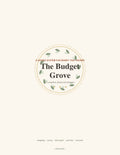 Budget Grove Financial Planner